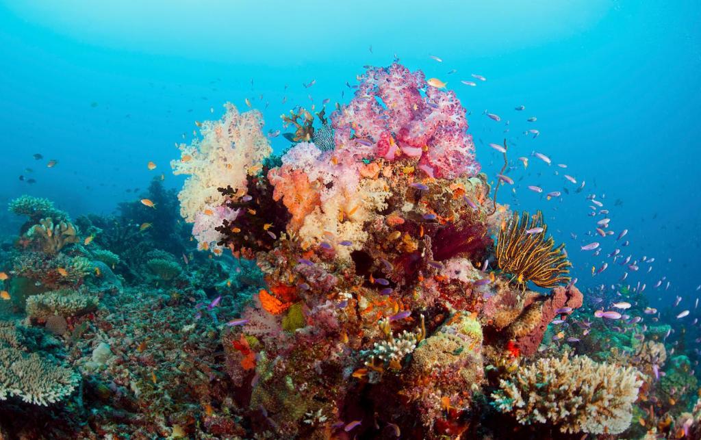 Qamea Resort & Spa Dreketi Luaran gambar